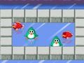 遊戲企鵝vs魚 在線