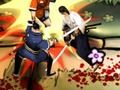遊戲武士Shown 在線