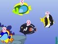 遊戲代數魚類狂潮在線
