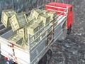 遊戲越野卡車司機 在線