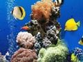 遊戲海水下差異 在線