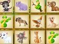 遊戲找到這個動物 在線