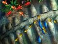 遊戲釣魚王 在線