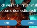 遊戲動物知識問答在線 遊戲動物知識問答在線