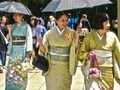 遊戲日本有100隻蝴蝶 在線