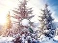 遊戲尋找雪球在線