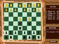 遊戲愚蠢的公牛國際象棋 在線