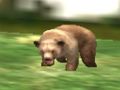 遊戲野生動物園動物獵人 在線