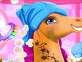 遊戲仙女小馬照顧冒險在線