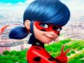 遊戲LadyBug拼圖拼圖系列 在線