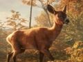 遊戲Safari吉普車停車場Sim：叢林探險 在線