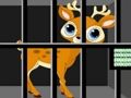 遊戲動物救援 在線