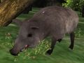 遊戲野豬狩獵拼圖在線