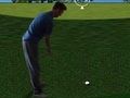 遊戲Flash Golf 3D 在線