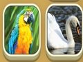 遊戲火柴動物園 在線