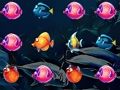 遊戲魚世界 在線