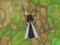 遊戲安瓦爾。 io 在線
