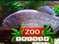 遊戲動物園問答在線