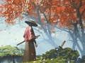 遊戲武士反射 在線