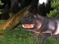 遊戲野生河馬狩獵 在線