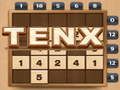 遊戲tenx在線