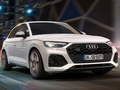 遊戲奧迪 SQ5 TDI 滑軌 在線