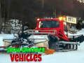 遊戲雪地美容車 在線