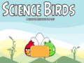 遊戲科學鳥 在線