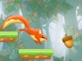 遊戲Nut Rush 夏季衝刺 在線