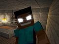 遊戲菜鳥：在 Herobrine's 住了 5 晚 在線