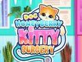遊戲Doc HoneyBerry Kitty 手術 在線