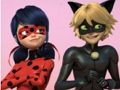 遊戲Miraculous Ladybug & Cat Noir 拼圖 在線
