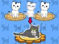 遊戲貓公寓 在線