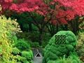 遊戲楓葉花園逃脫 在線