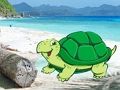 遊戲海灘螃蟹雙人逃脫 在線