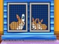 遊戲找到動物急救箱 在線
