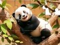 遊戲拼圖遊戲：樹上的熊貓 在線