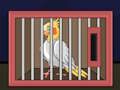 遊戲釋放玄鳳鸚鵡鳥 在線