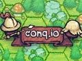 遊戲問題。 io 在線