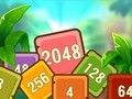 遊戲熱帶立方體 2048在線