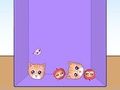 遊戲貓迷因的演變 在線