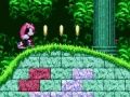 遊戲《索尼克 2》中的 Mighty 與 Ray 在線