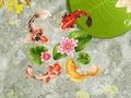 遊戲鯉魚池在線