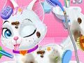 遊戲嬰兒動物寵物獸醫護理 在線