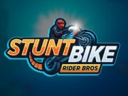遊戲特技自行車騎士兄弟 在線