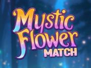遊戲神秘花火柴 在線