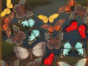 遊戲Mergebuterfly：2048！ 在線