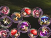 遊戲Mergemushrooms：2048！ 在線