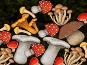 遊戲合併蘑菇 在線