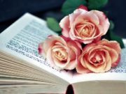 遊戲花書拼圖書在線